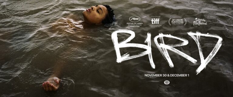 Un symbolisme libérant: bird (2024)